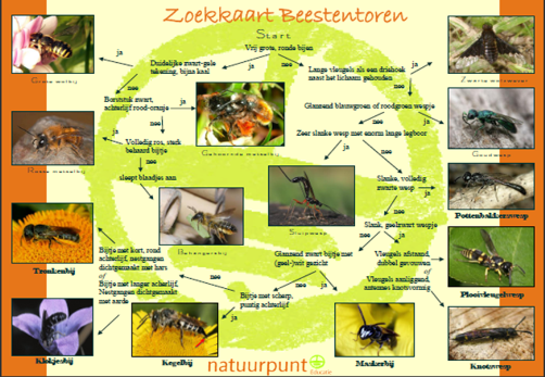 thumbnail - Zoekkaart Beestentoren (Natuurpunt)